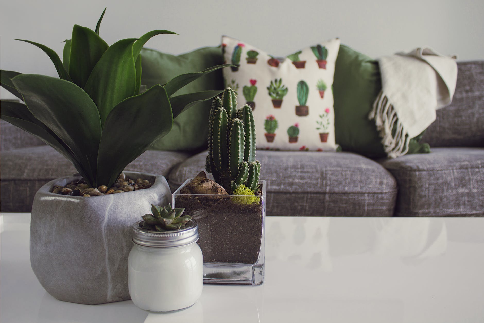 Apartment Decorating Ideas for Renters- indoor plants